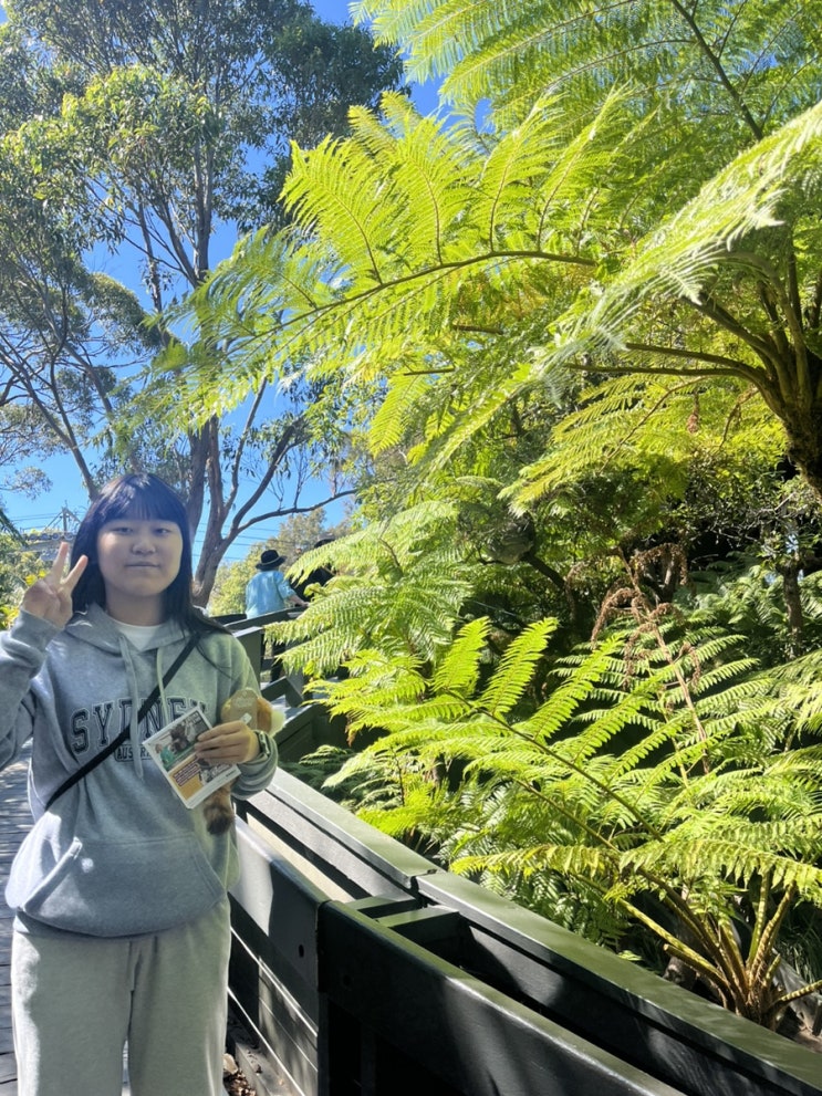  [호주여행 6일차]  Taronga Zoo Manly Beach RPA