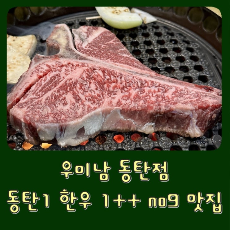  [동탄 1] 우미남 - 한우 소고기 맛집,  동탄 모임 추천, 콜키지프리