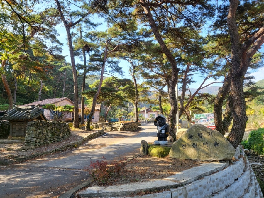 삼포추어탕 사진 2