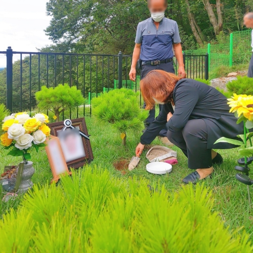  서울자연장으로 화장장례 절차 준비 장례식 2가지 방법