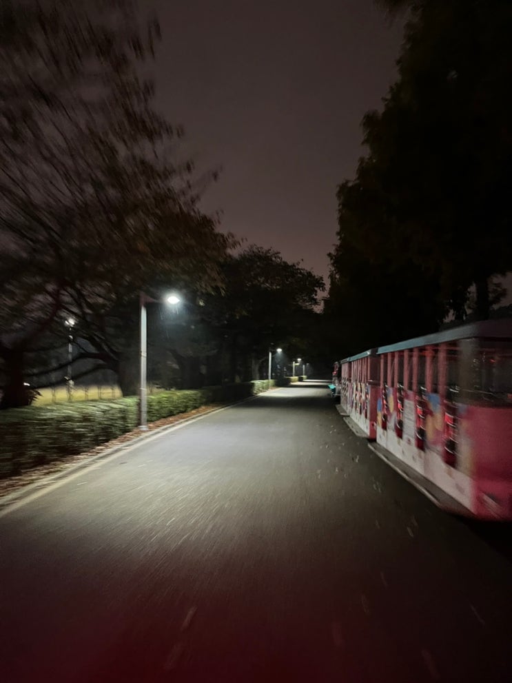 [과천] 서울대공원 단풍명소, 앨리스원더하우스, 숯과소금 (ft. 15시간 동안 먹어댄)