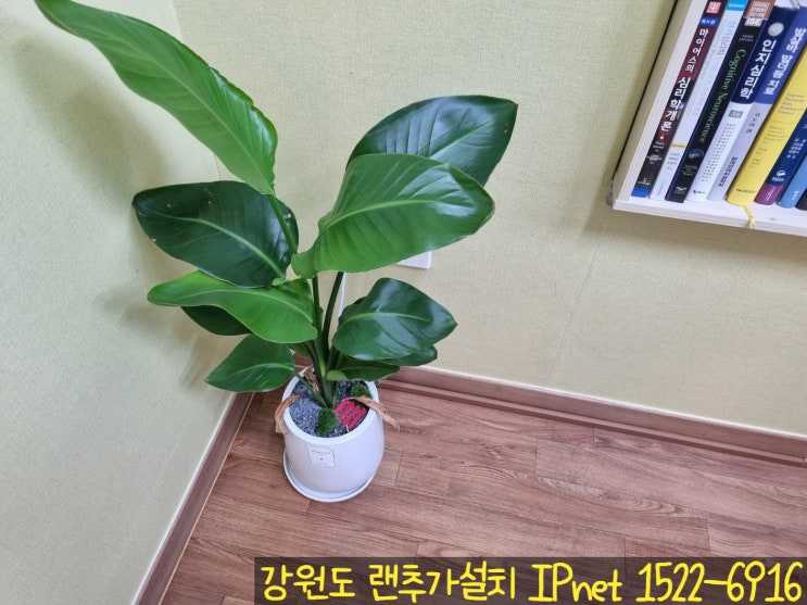  강원도 원주 학원 랜추가설치 깔끔하게 잘하는 업체!