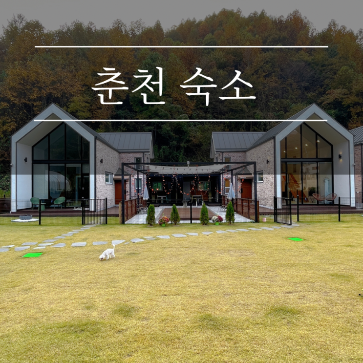  강원도 춘천 독채 펜션 햅독 신상 감성 풀빌라 숙소 애견동반 여행 추천