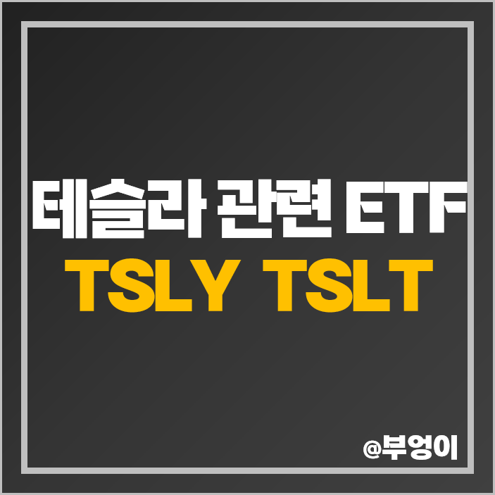 테슬라 관련주 미국 레버리지 ETF 투자 방법 TSLT 커버드콜 TSLY