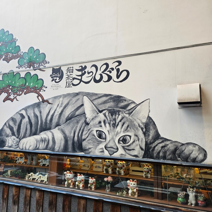  애주가부부와 시어머니 교토 여행 (니시키시장, 야사카신사 EX CAFE)