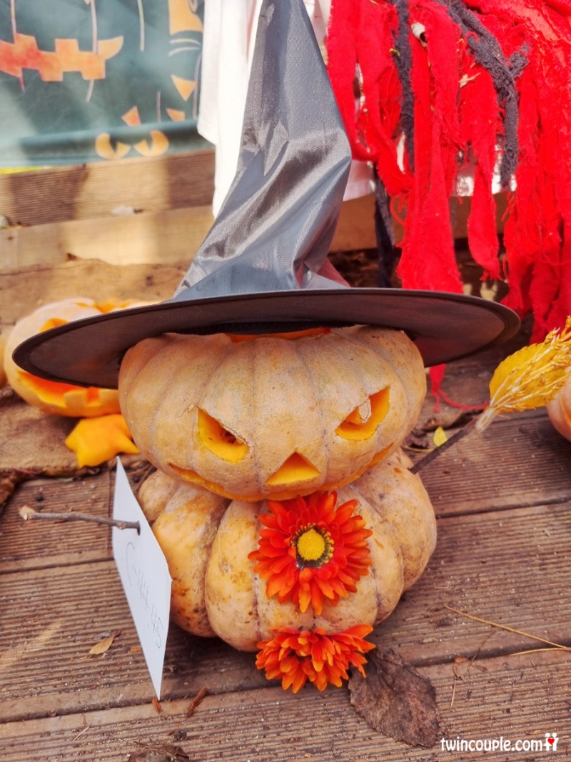 아이랑 할로윈 호박 만들기🎃 (다양한 잭오랜턴 모음) : 네이버 블로그, image size:800x1067