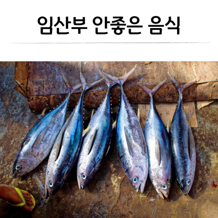  임산부 안좋은 음식 알아보기