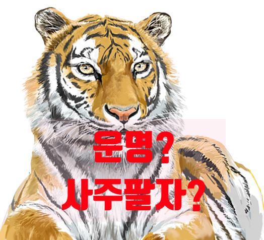  사주팔자? 운명?