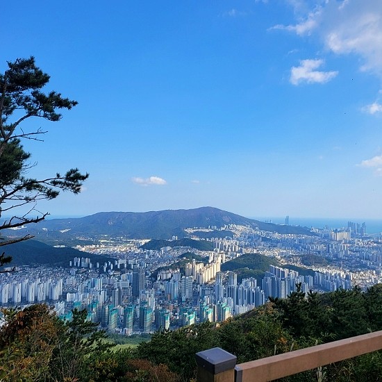  부산 금정산 금강공원 전망대 뷰