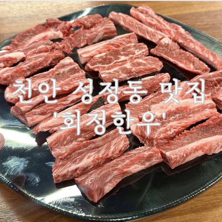 [천안] <b>천안 성정동 소고기</b>맛집 '회정한우' 갈비살 추천