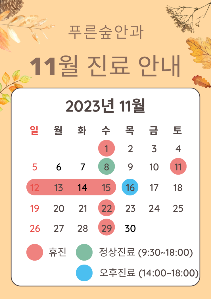  11월 진료 안내