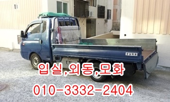 입실용달 모화 외동 제주도 울릉도 불국사 정자 감포. 입실용달 모화 외동 제주도 울릉도 불국사 정자 감포.