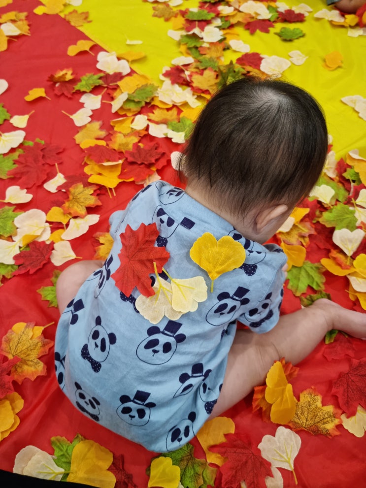  231030, 9개월 아기와 문화센터, 새싹아이 오감놀이