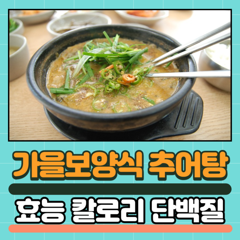 추어탕의 효능과 부작용 추어탕 칼로리 단백질
