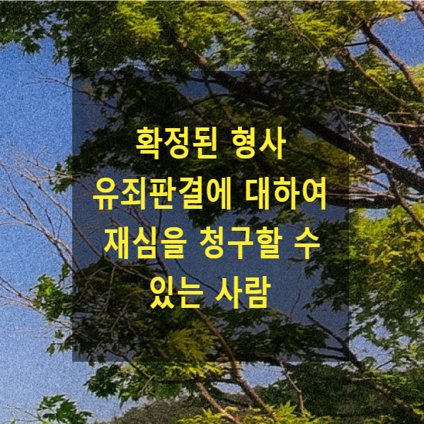  확정된 형사 유죄판결에 대하여 재심을 청구할 수 있는 사람(재심청구권자)