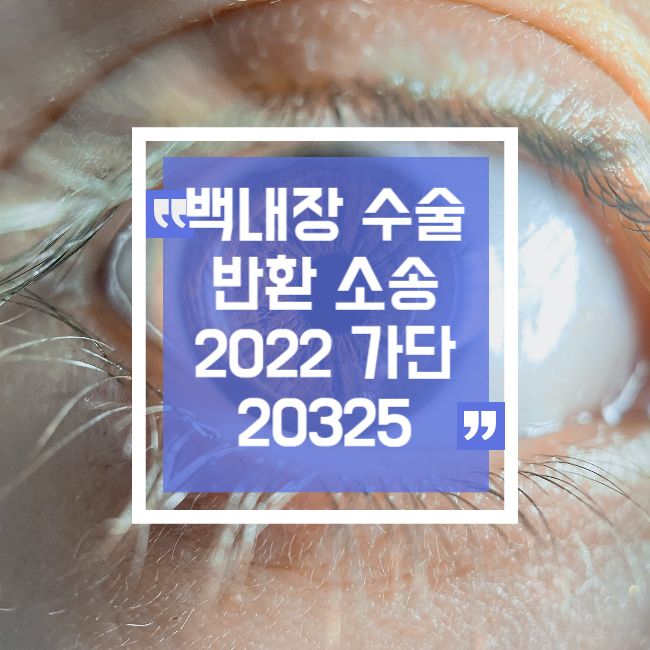  2022가단20325 백내장 보험금 반환 소송 패소