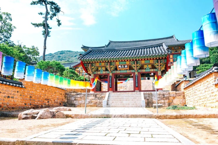  부산 데이트 대행 렌트미미와 함께하는 6가지 꿀팁