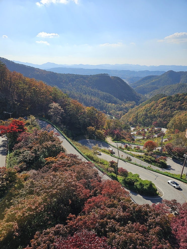  국내단풍명소 아이와함께 등산없는 속리산 말티재전망대 포토존 꿀팁 레일바이크 가을 단풍 여행 추천