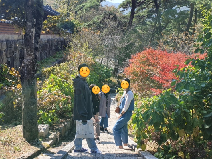  가을 통도사 오오티디