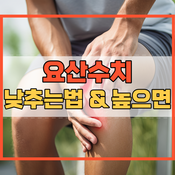  요산수치 낮추는법 and 요산수치가 높으면 생기는 질병!
