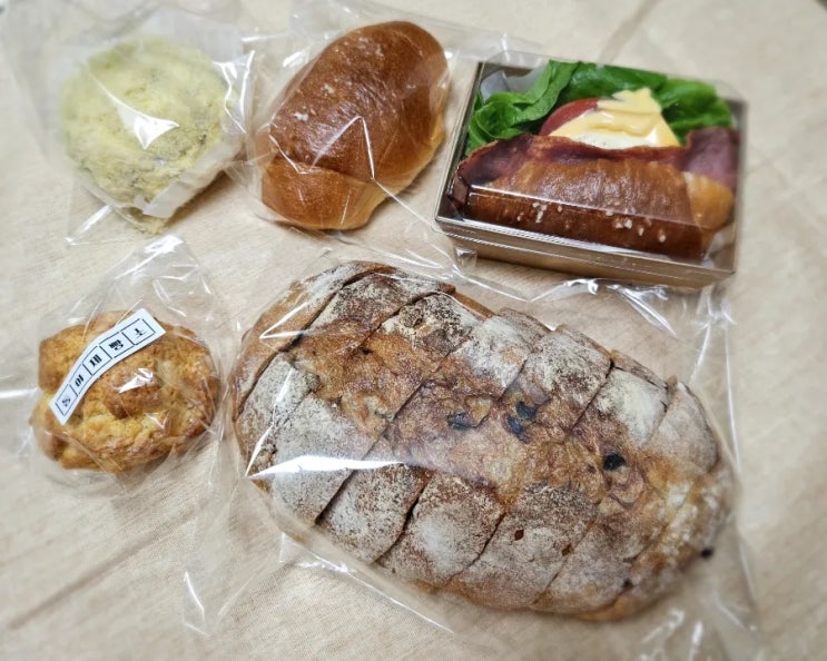 대구 남구 소금빵 스콘 맛집 동아제빵소 건강한 빵집 추천