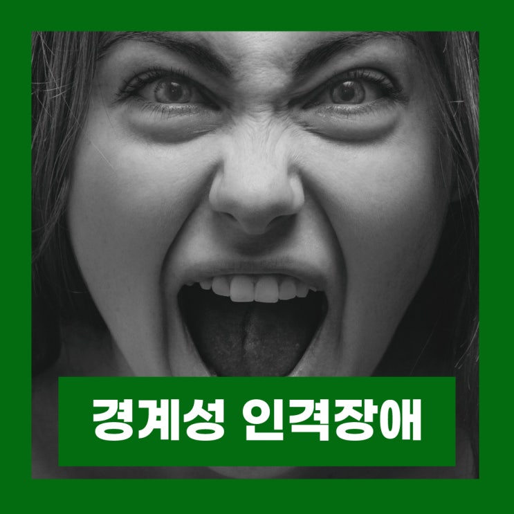  경계선 인격장애 원인 증상 경계성인격장애 테스트