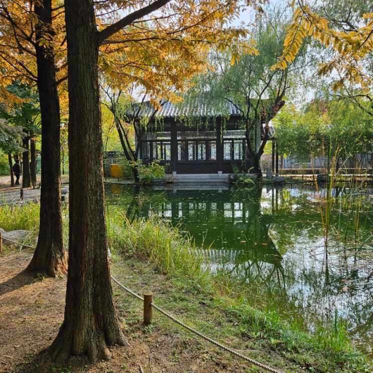 [경기도 나들이] 가을 정취 가득한 수원 효원공원 : 제주의 거리, 중국식정원 월화원