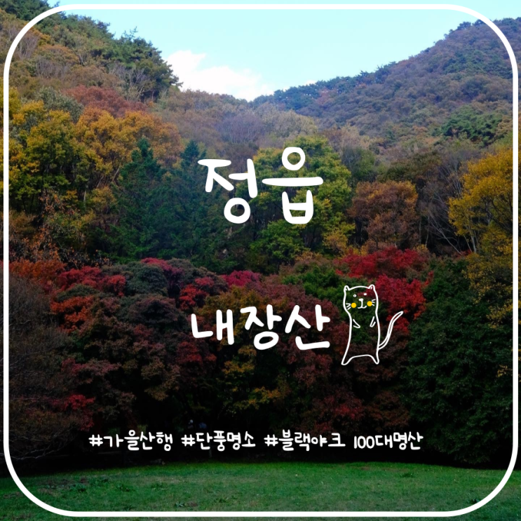 빨강빨강 노랑노랑 우리나라 대표 단풍명소 내장산 산행 빨강빨강 노랑노랑 우리나라 대표 단풍명소 내장산 산행