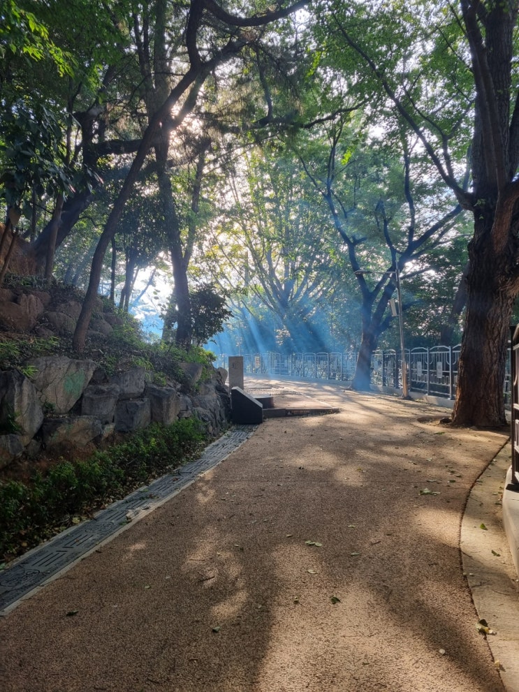  [일상] 부산 동구 공원 / 남포동 오꾸닭 / 영도블루샥