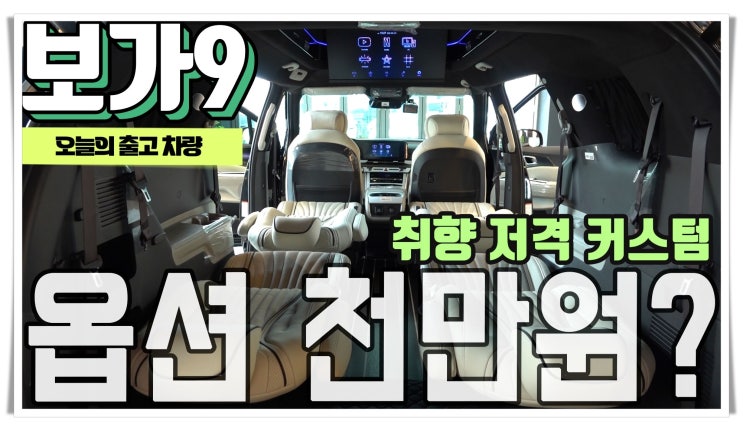  공간을 활용하고 싶다면? 보가9 스탠다드 카니발 하이리무진