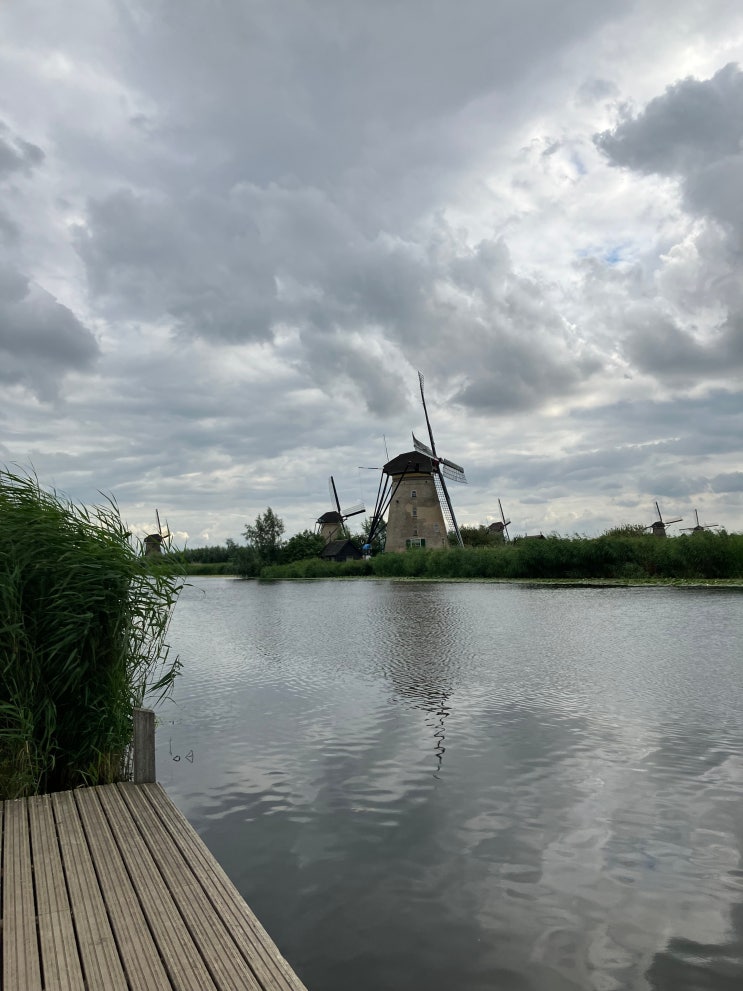 네덜란드 킨더다이크 Kinderdijk 여행 - 풍차와 함께 산책하기 네덜란드 킨더다이크 Kinderdijk 여행 - 풍차와 함께 산책하기