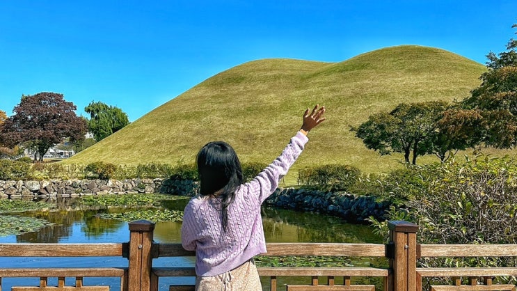  경주 대릉원 입장료 무료네? 황리단길에서 포토존 위치 찾아가는 법