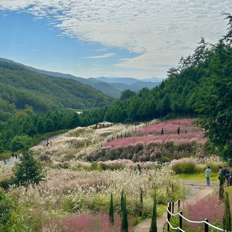  전남 보성, 계절마다 피는 꽃을 볼 수 있는 소통의 숲 윤제림(성림정원)