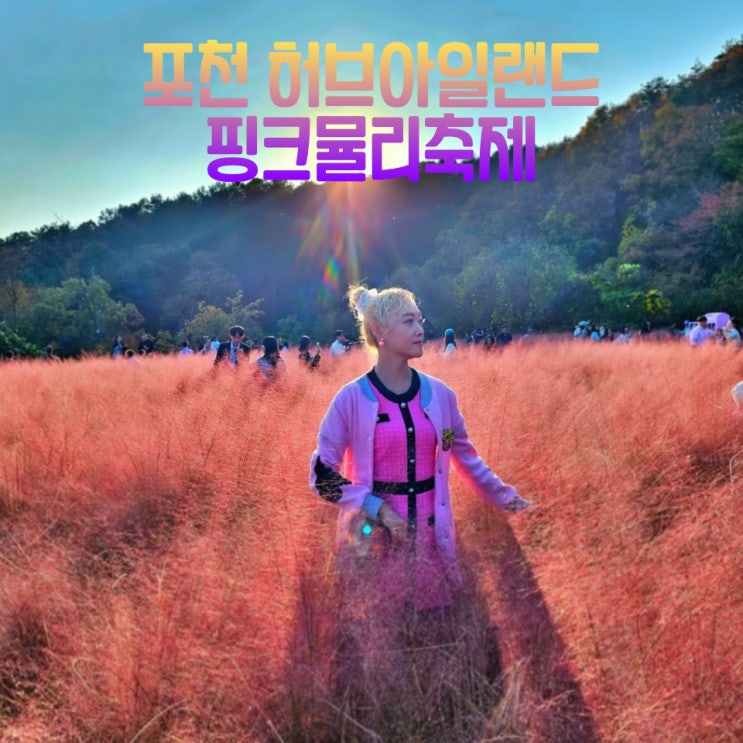  포천 허브아일랜드 핑크뮬리축제 핑크모래썰매 아이스크림 트랙터마차