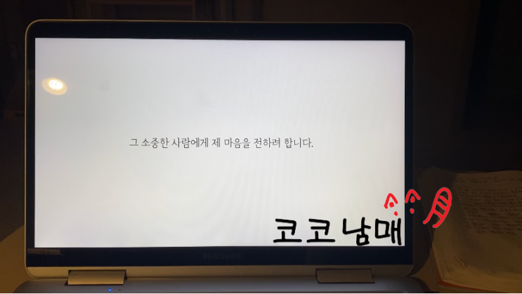  랑추시네마 / 영상편지 프로포즈영상, 기념일이벤트영상, 생일영상, 영상제작 / 남집사 놀래키기