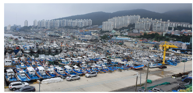전라남도 여수 국동항 안전 강화를 위한 건설공사, 예비타당성조사 통과 전라남도 여수 국동항 안전 강화를 위한 건설공사, 예비타당성조사 통과