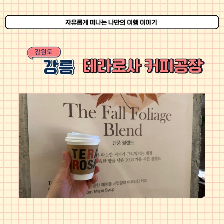  강릉 카페 테라로사 커피공장 본점 가을 시즌 드립 커피 추천