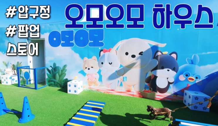  압구정 반려견 팝업스토어 오모오모 하우스 강아지 체험존