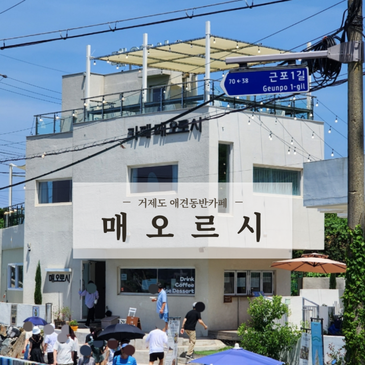  거제 남부면 애견동반카페 소금빵맛집 매오로시 - 인생샷 포토존 근포땅굴 근처