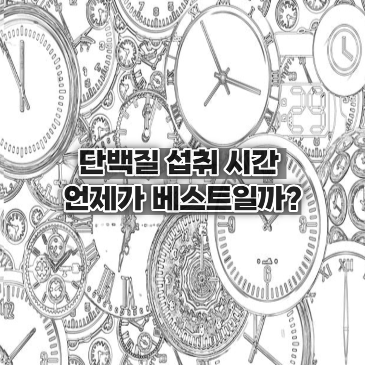  단백질 섭취 시간, 언제가 베스트일까?