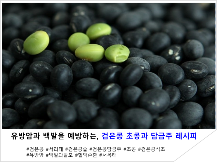  유방암과 백발을 예방하는, 검은콩 초콩과 담금주 레시피
