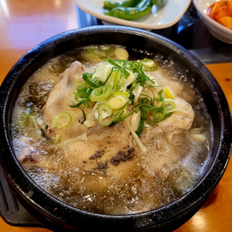  방이동삼계탕맛집 올림픽공원근처백숙 방이능이버섯백숙삼계탕 방잇골