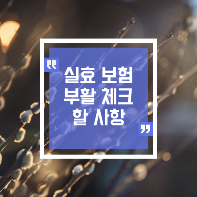  실효된 보험 계약 부활할때 체크사항