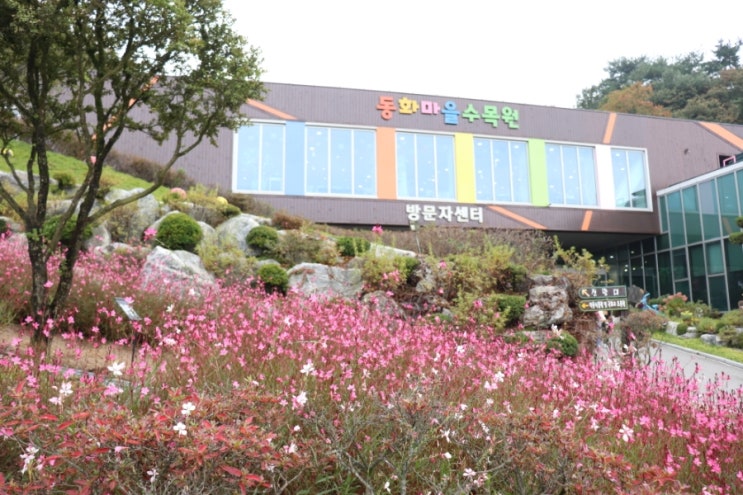  원주 동화마을 수목원, 숲체험으로 아이들과 다녀오기 좋은 곳