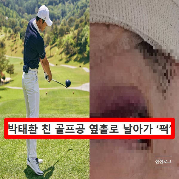 박태환 친 골프공 옆홀로 날아가 손님 막망 부상 현재상황 (+나이, 인스타)