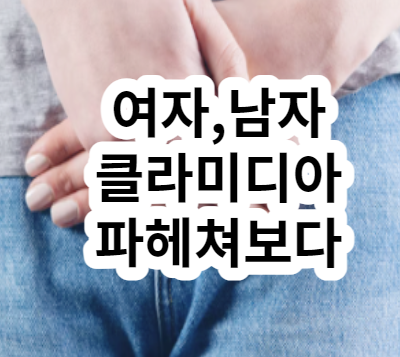 여자 남자 클라미디아 증상 원인 재발 잠복기 자연치유(성병종류)
