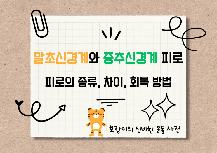  말초신경계 피로와 중추신경계 피로 [피로의 종류, 원인, 육체 피로, 정신피로, 차이, 회복 방법, PNS피로, CNS피로]