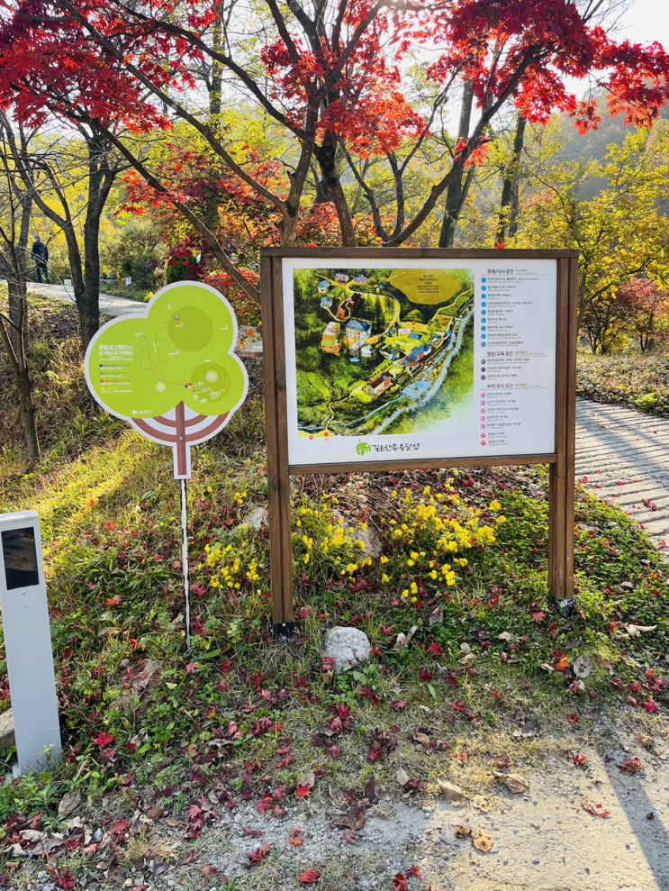  [충주] 명상원 깊은산속 옹달샘에서 명상 안하고 독서함