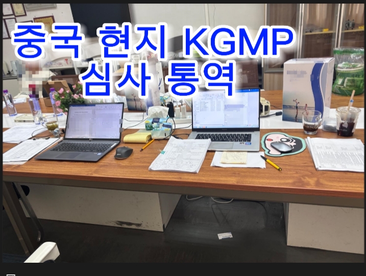  의료기기 KGMP 현지 심사 통역/중국현지통역/심천통역/홍콩광저우통역/상해상하이통역/GMP심사