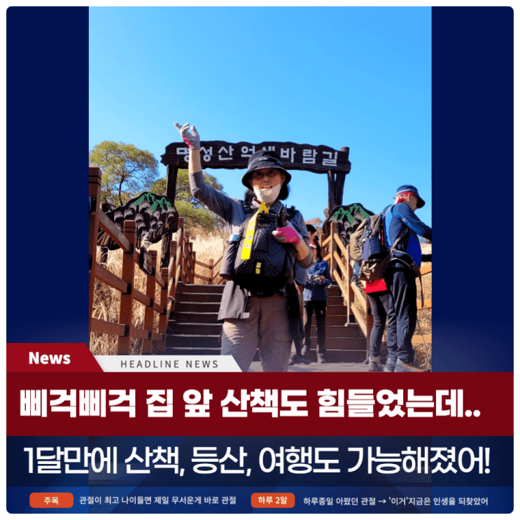  돈키호테 관절약 대체 아유미 관절 영양제 후기